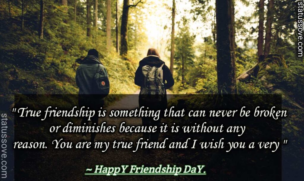 True friendship is something that can never be broken or diminishes because it is without any reason. You are my true friend