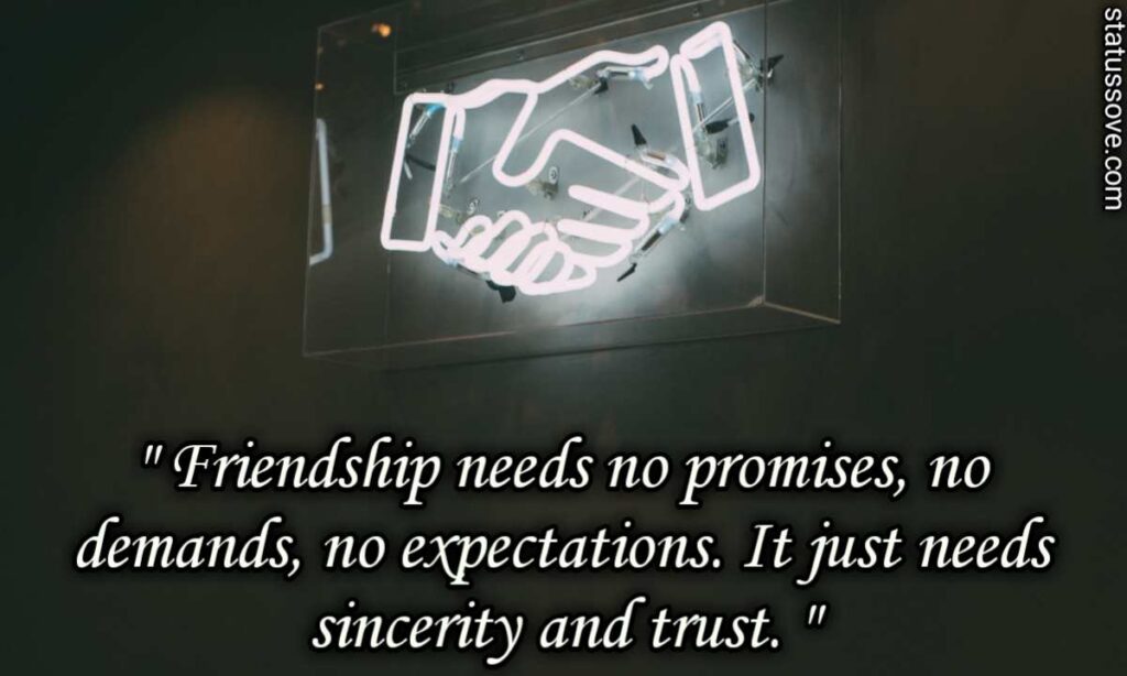 Friendship needs no promises, no demands, no expectations. It just needs sincerity and trust.