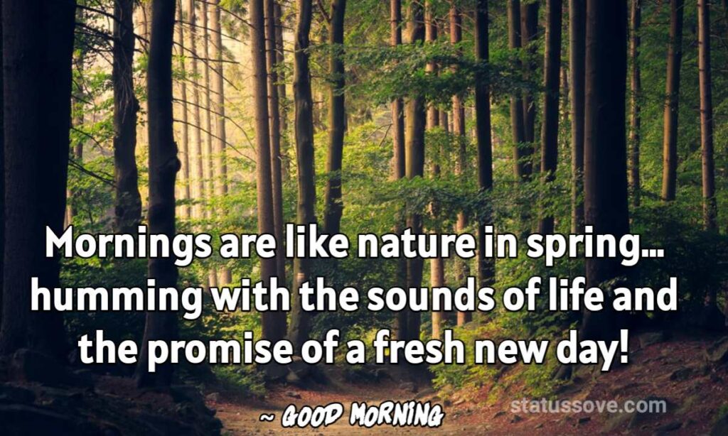 Mornings are like nature in spring… humming with the sounds of life and the promise of a fresh new day!