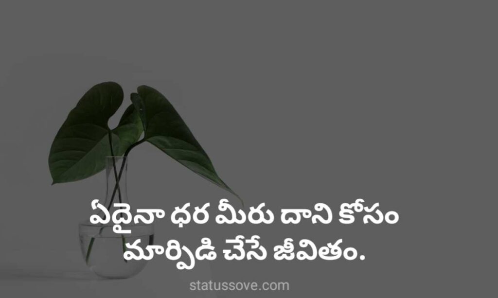 ఏదైనా ధర మీరు దాని కోసం మార్పిడి చేసే జీవితం Telugu life quotes