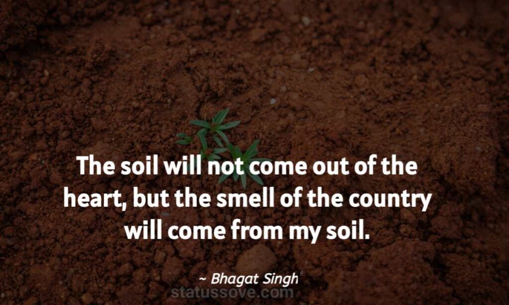 The soil out from