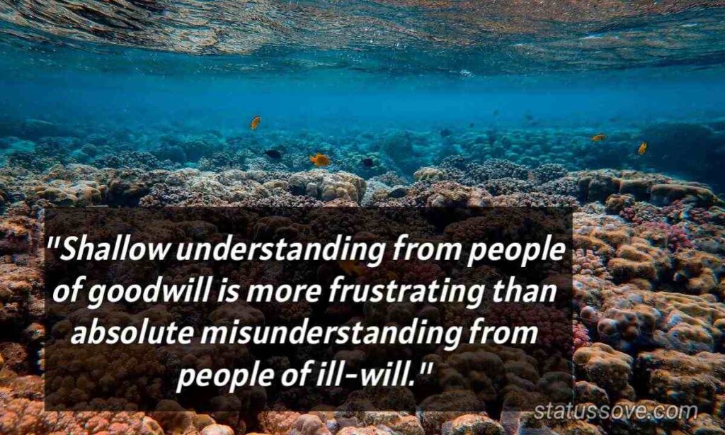 Shallow understanding from people