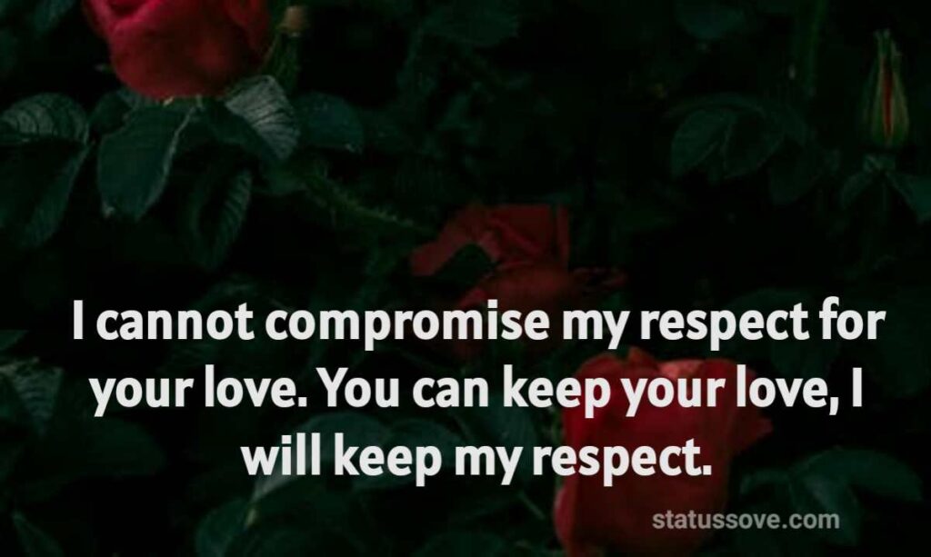 I cannot compromise my respect for your love. You can keep your love, I will keep my respect