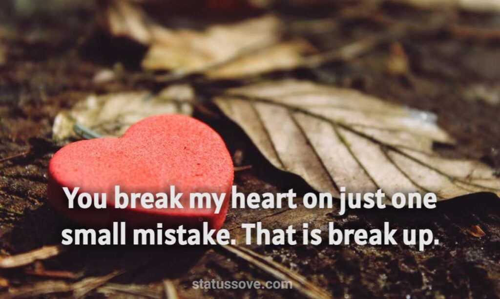 You break my heart on just one small mistake. That is break up