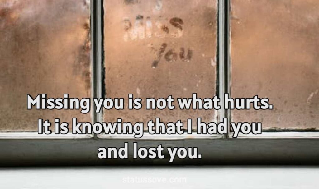 Missing you is not what hurts. It is knowing that I had you and lost you