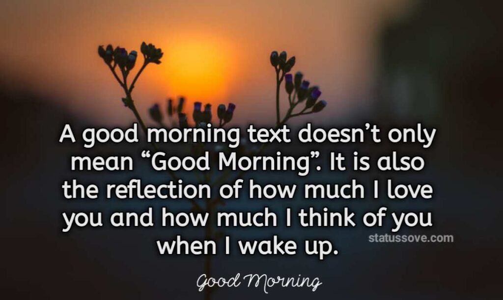 A good morning text doesn’t only mean “Good Morning”. It is also the reflection of how much I love you and how much I think of you when I wake up