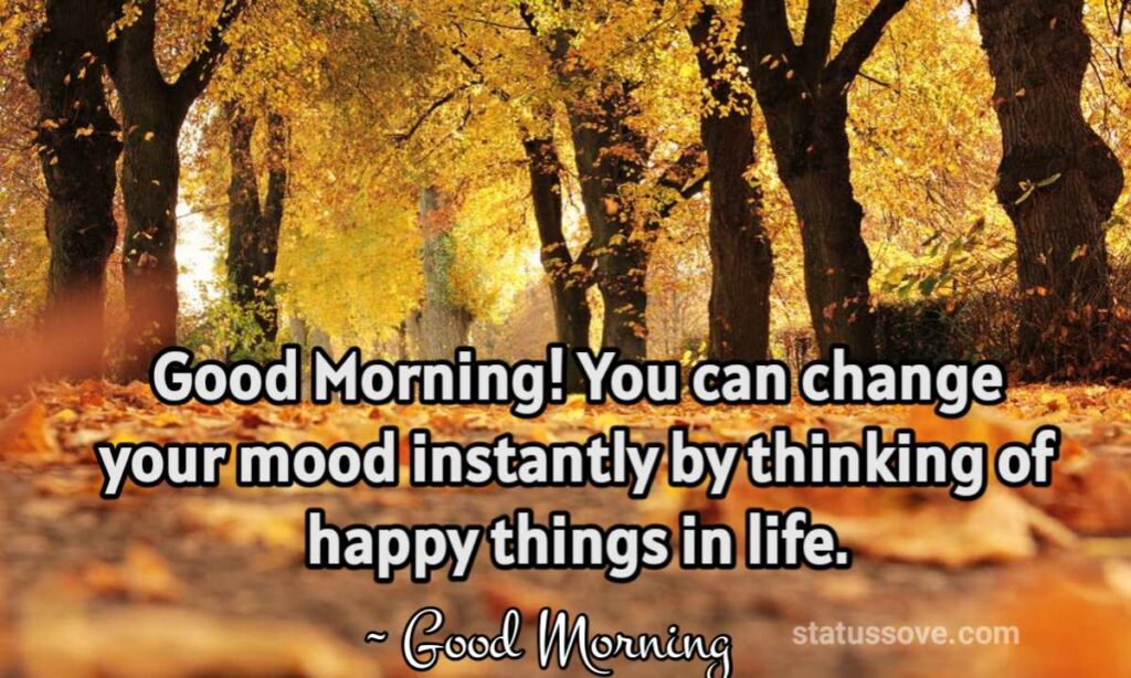 Good Morning! You can change your mood instantly by thinking of happy things in life.
