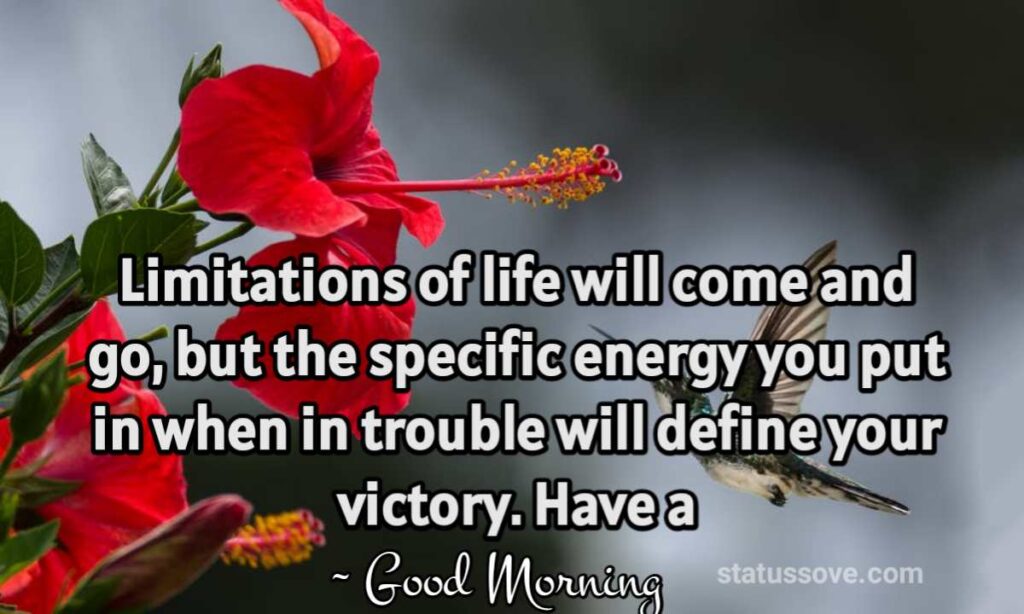 Limitations of life will come and go, but the specific energy you put in when in trouble will define your victory. Have a good morning