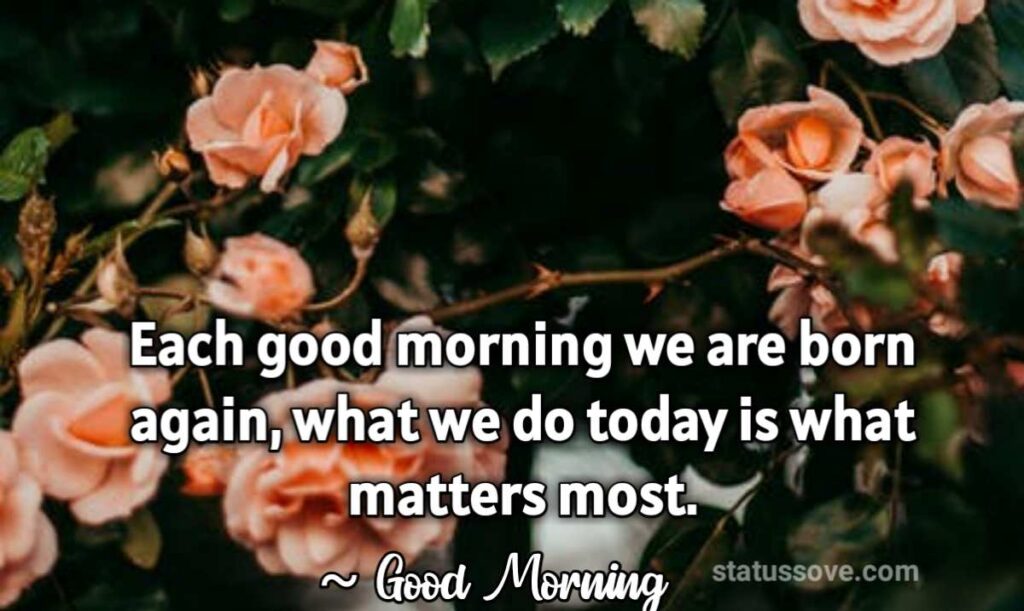Each good morning we are born again, what we do today is what matters most