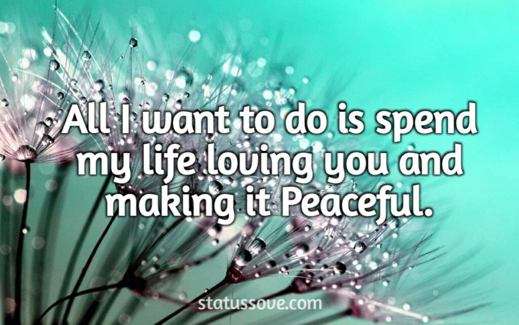All I want to do is spend my life loving you and making it Peaceful.