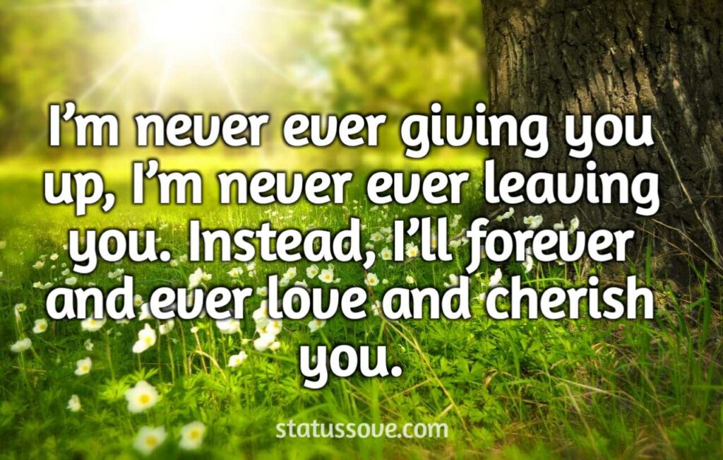 I’m never ever giving you up